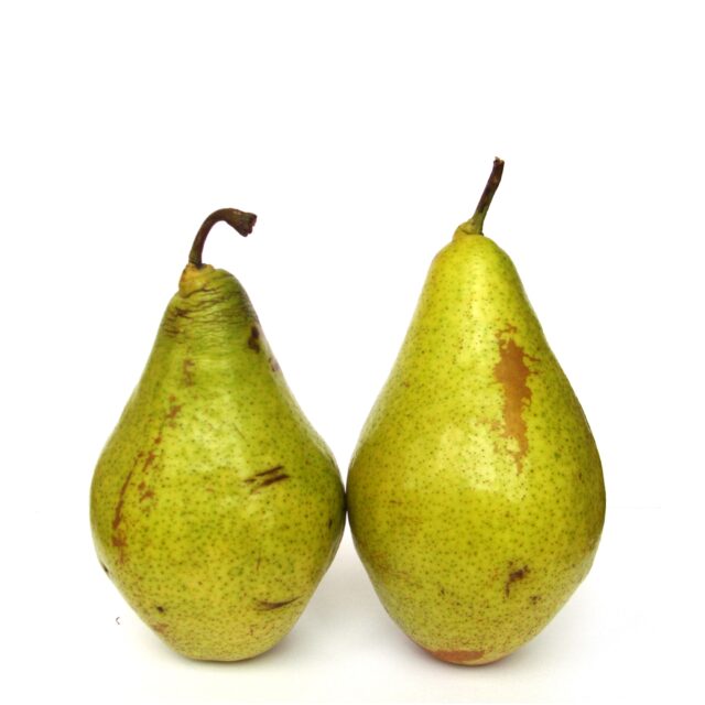 pomi altoiti par Noiabriskaia, 2